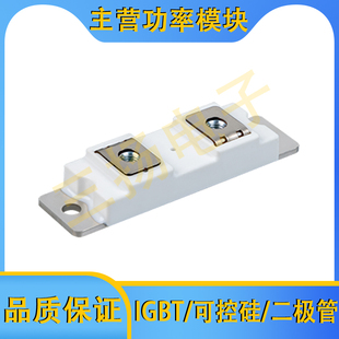 快恢复二极管MMF800/400/300/200Y020 040/060 DK1B/DK1/U拍前询