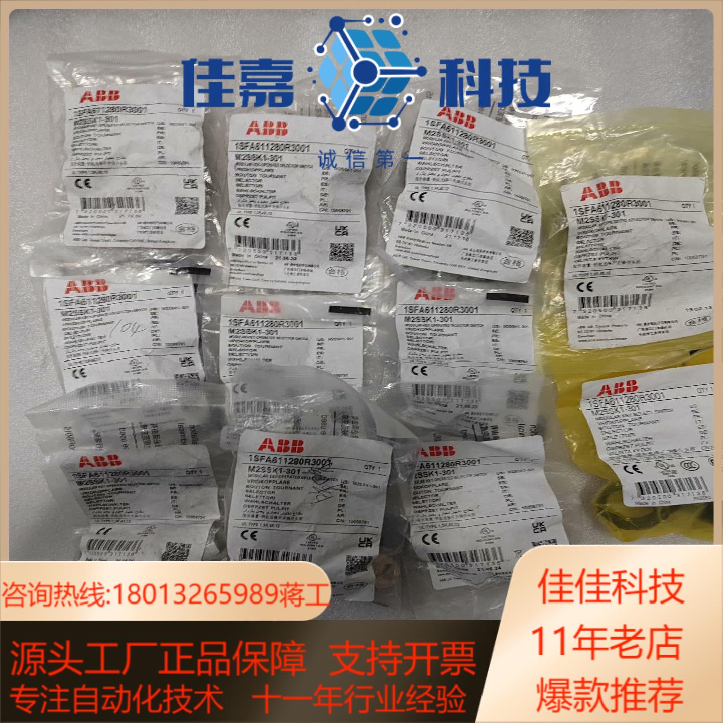 ABB钥匙操作式二位置选择开关M2SSK1-301   全新