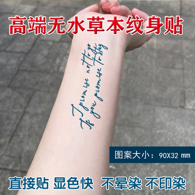 草本手臂半永久字母刺青纹身贴