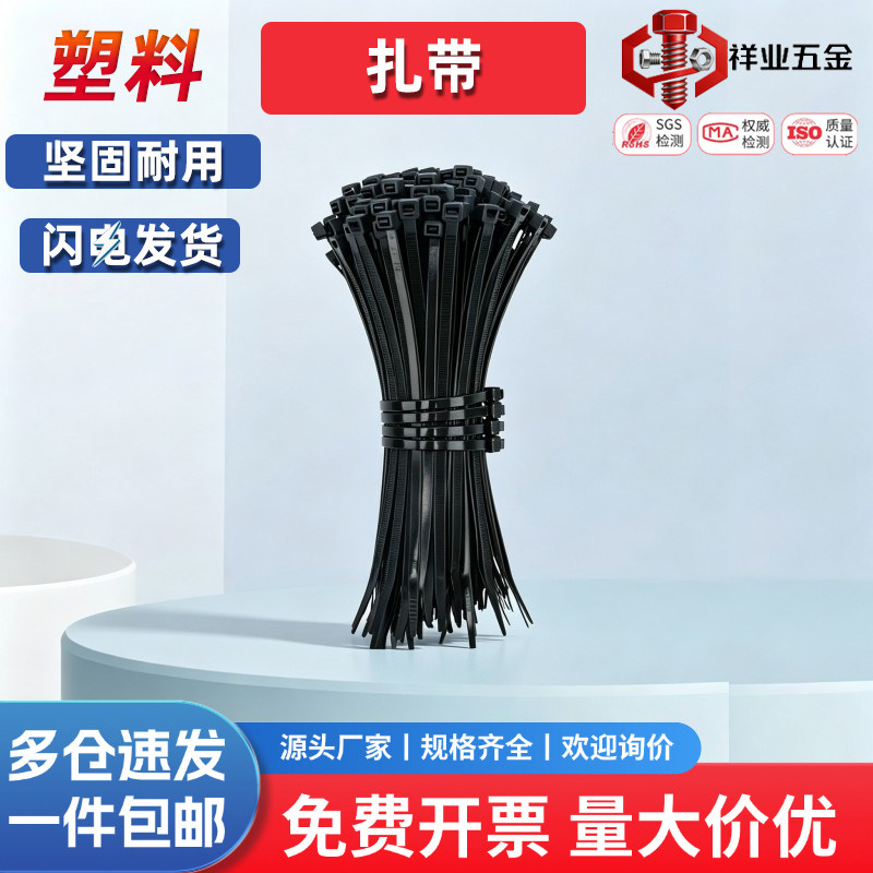 自锁式尼龙扎带3*80-8*500