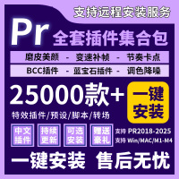 PR插件全套合集2025藍(lán)寶石BCC轉(zhuǎn)場磨皮調(diào)色降噪紅巨星補(bǔ)幀插件