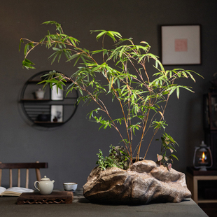 创意桌面装 饰花器高级感 饰摆件仿石头花盆仿古艺术禅意茶室茶桌装