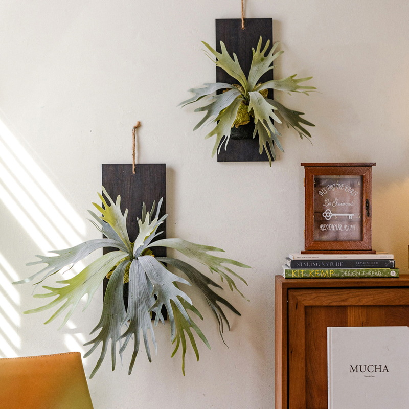 仿真蕨类植物室内墙面装饰造景