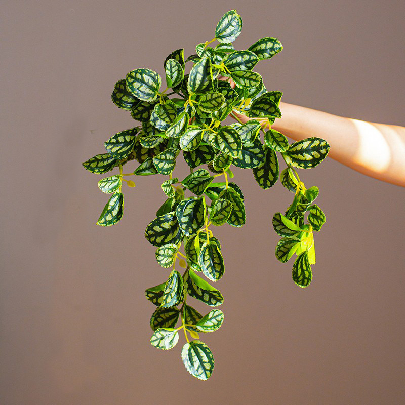 垂吊植物仿真绿植造景墙面壁挂吊兰植物装饰藤蔓仿生植物假绿植