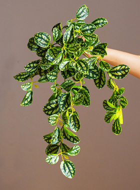 垂吊植物仿真绿植造景吊兰装饰