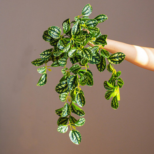 垂吊植物仿真绿植造景吊兰装饰