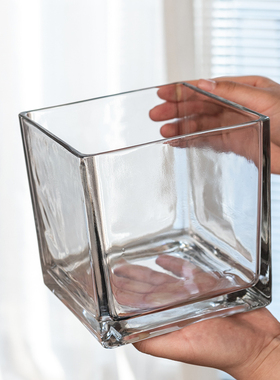 方形玻璃花瓶透明水养绿植插花器皿简约现代桌面装饰摆件水培花器