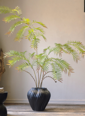 掬涵仿真观音蕨大型绿植假树室内造景蕨类植物客厅落地装饰摆件