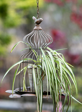 铁艺吊篮花器鸟笼造型花盆摆放