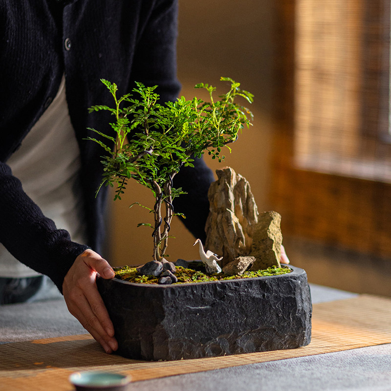 复古花盆禅意侘寂风茶室装饰摆件图片