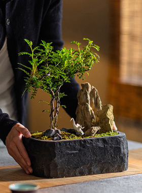 复古花盆禅意侘寂风茶室装饰摆件