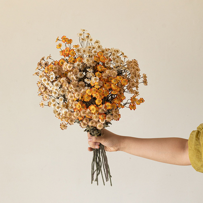 小雏菊仿真干花花束装饰花艺