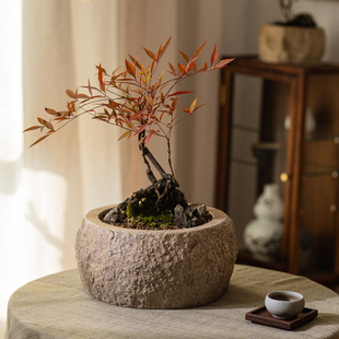 茶室装饰花盆摆件茶桌造景绿植盆栽花器中式禅意仿石头花盆侘寂风