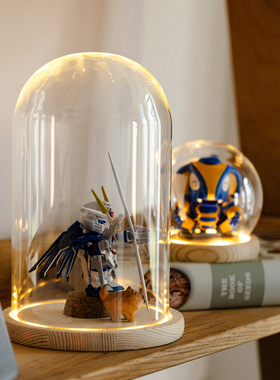 手办展示盒干花玻璃罩标本收纳瓶