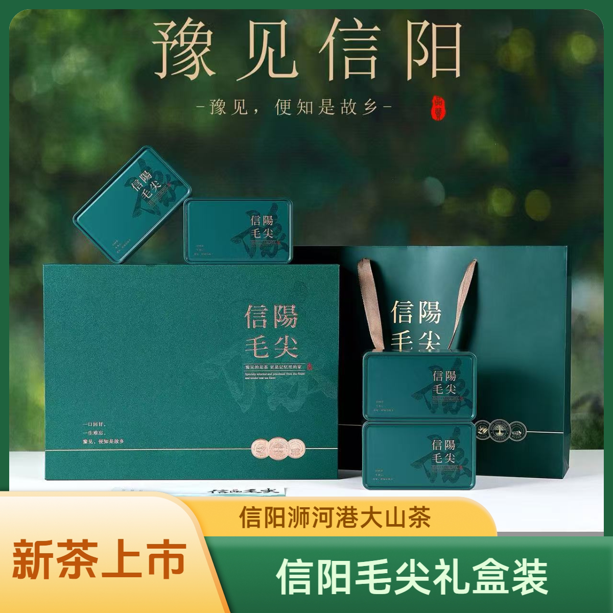 信阳毛尖春茶嫩芽礼盒200g