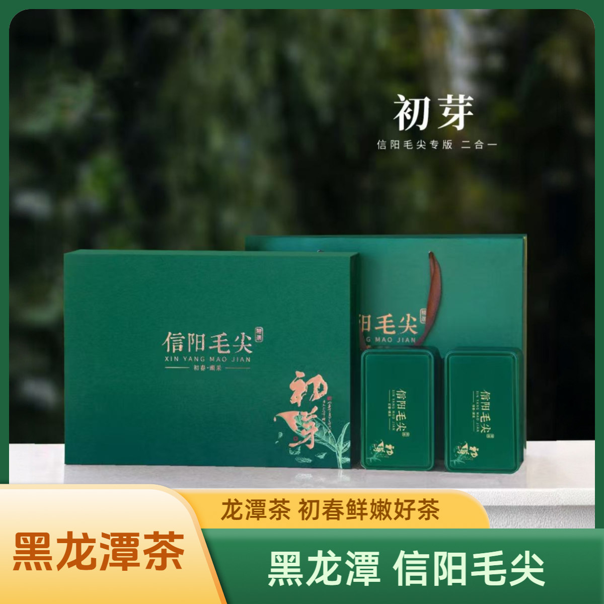 【八大山头】黑龙潭信阳毛尖礼盒装雨前一级绿茶80g（4g*20袋）