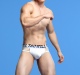 青叔23101男士 男 U凸太空仓商务内裤 低腰性感缕空三角内裤 尼龙时尚