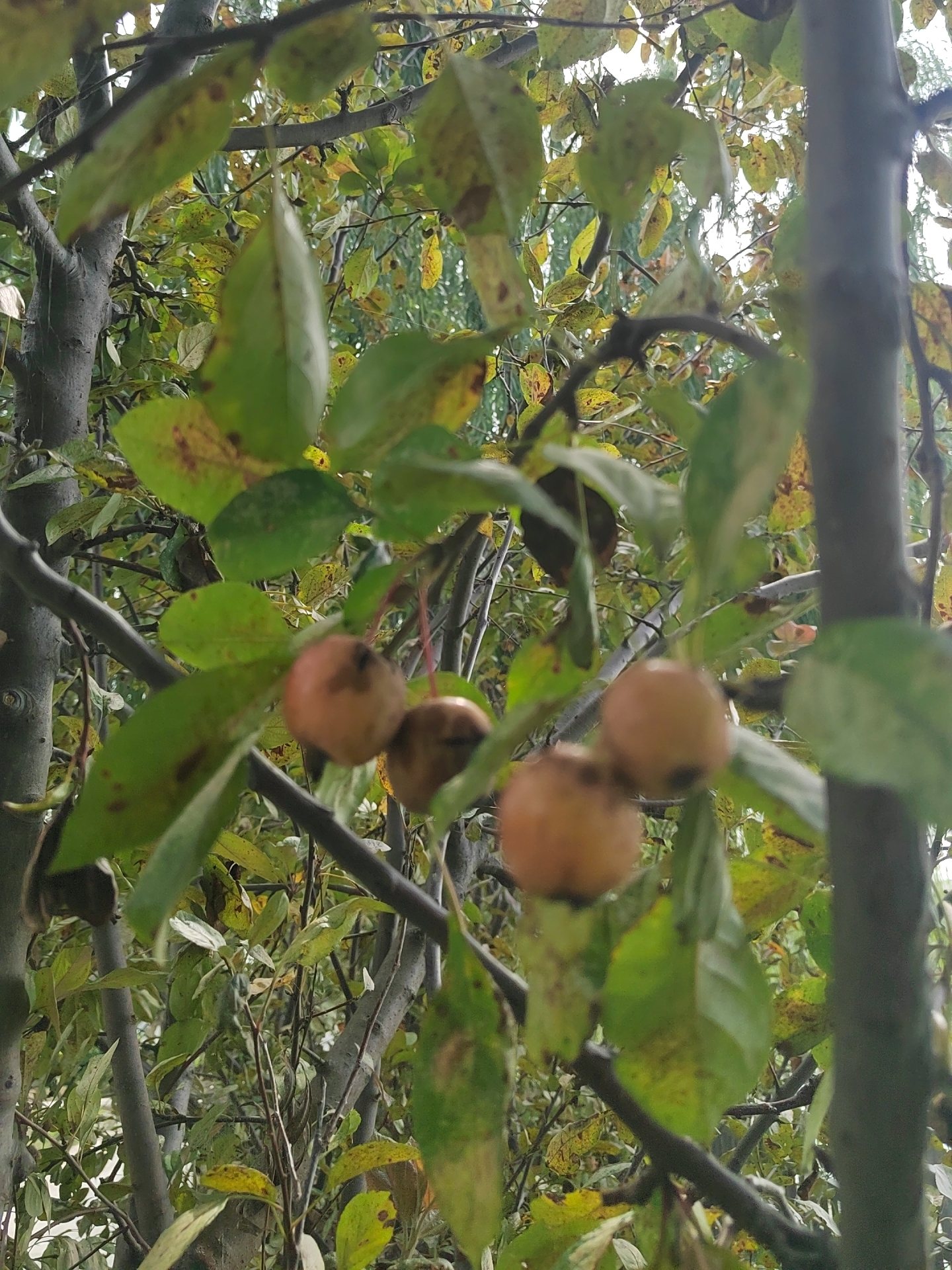 三角洲现金1亿,6体,6负重,9保险,8个6甲,7个6头,84发aw