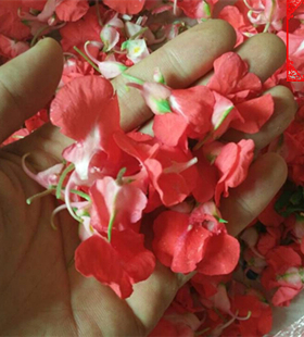 新鲜染指甲花白红凤仙花桃红白色红色指甲花纯凤仙花粉植物蔗白发