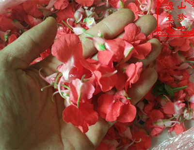 新鲜染指甲花白红凤仙花桃红白色红色指甲花纯凤仙花粉植物蔗白发