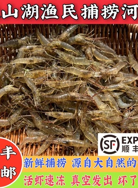 【当日捕捞】微山湖河虾淡水新鲜鲜活青虾水产急冻小草虾醉虾土虾