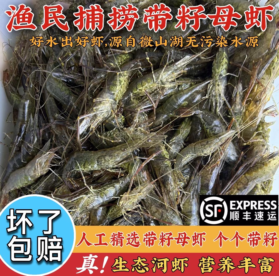 当日捕捞微山湖精选带籽母虾4/7cm河虾淡水新鲜鲜活急冻虾土虾 水产肉类/新鲜蔬果/熟食 冻虾 原图主图