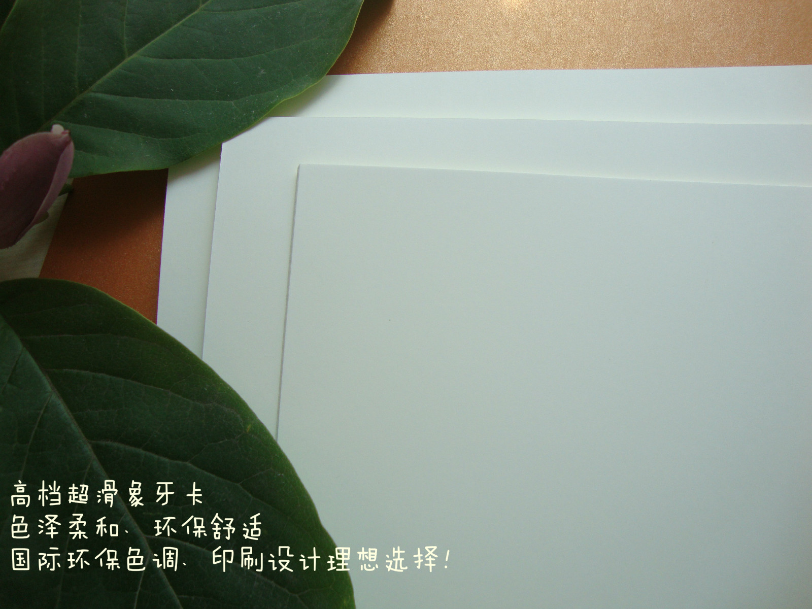 아트지 도매 : 아이보리 판지 풀 오픈 아이보리 카드 축하 카드 용지 친환경 컬러 카드 특수 용지