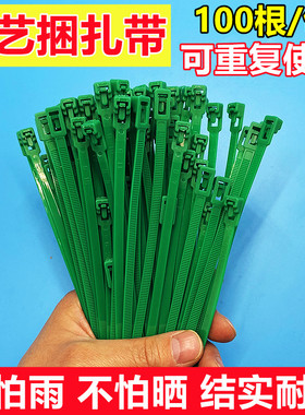 家用园艺尼龙扎带绿色活扣塑料勒死狗可重复多次使用可拆卸捆绑带