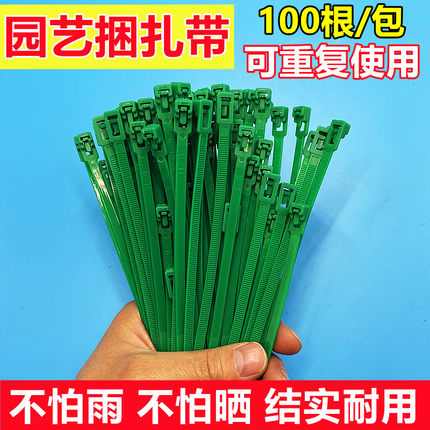 家用园艺尼龙扎带绿色活扣塑料勒死狗可重复多次使用可拆卸捆绑带