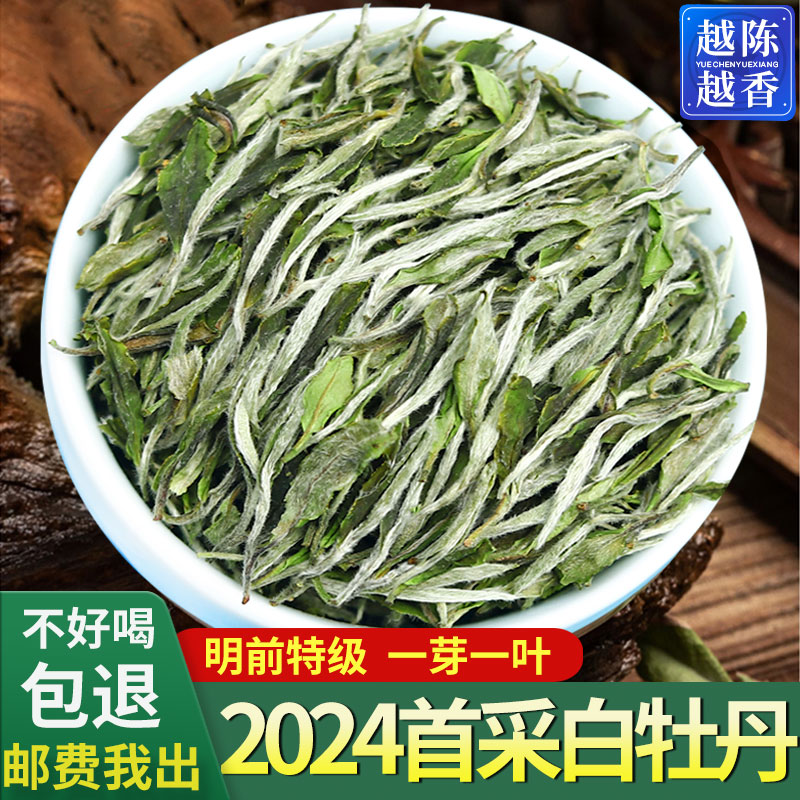 2024年新茶花香荒山福建白牡丹春茶白茶明前特级白牡丹散茶500克