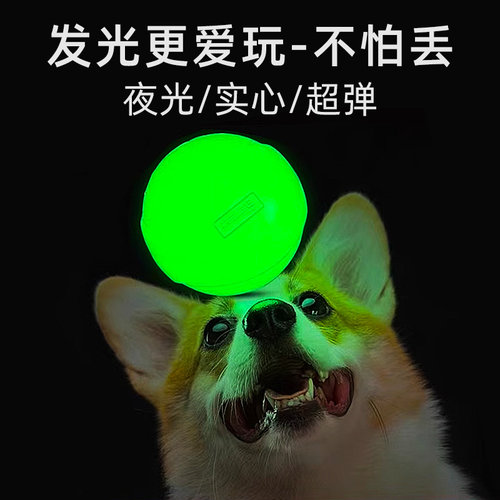 杭伊宠物狗狗玩具球发光耐咬磨牙