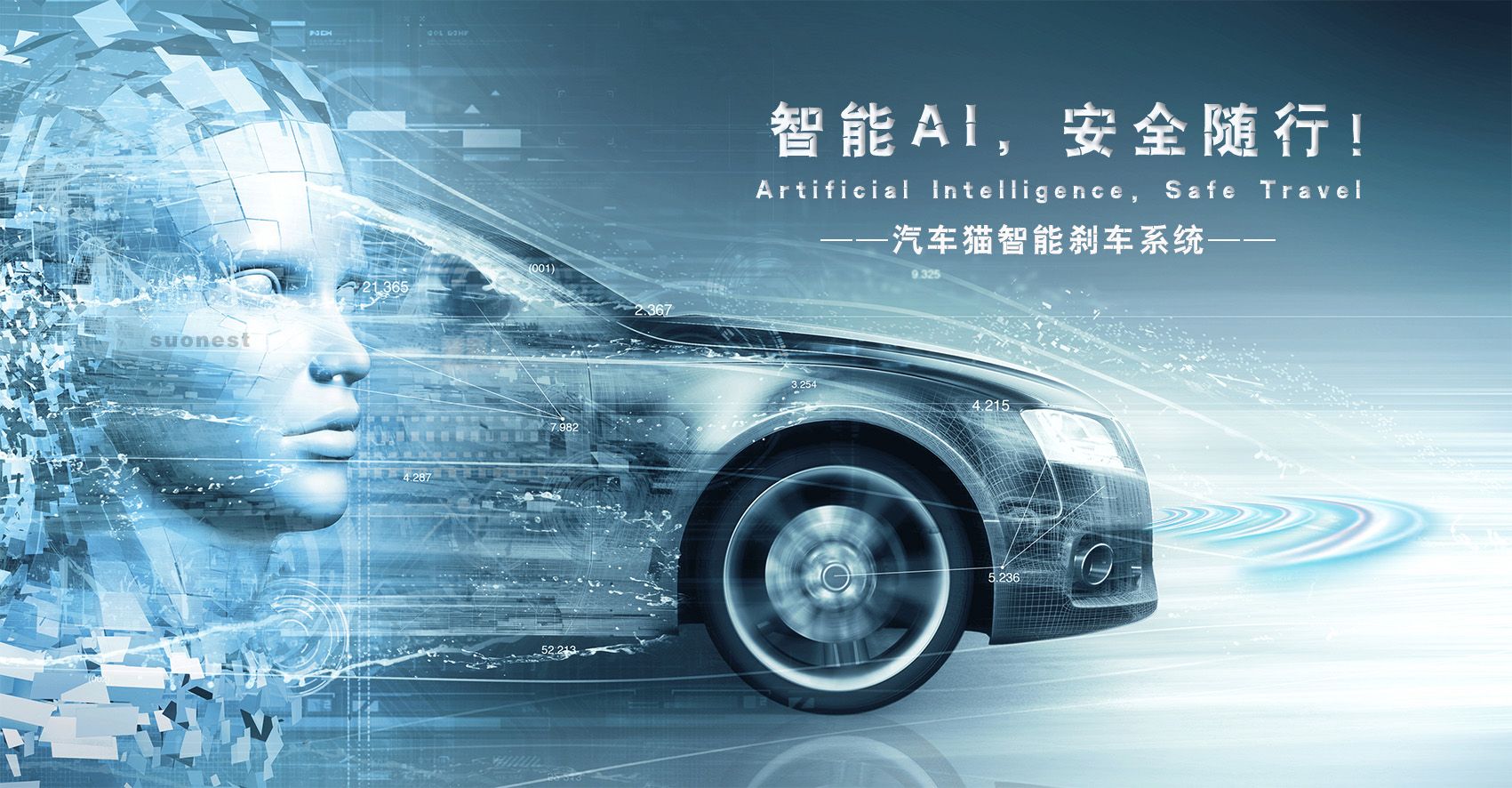 aebs智能防撞辅助自动刹车汽车猫