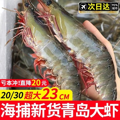 新鲜青虾鲜冻现捕尚致