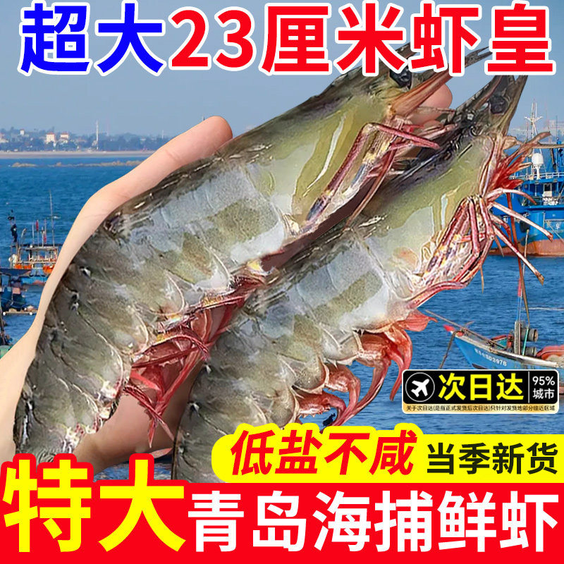 新鲜青岛大虾鲜活基围虾超大海虾冻虾对虾青虾白虾盐冻虾海鲜水产 - 尚致旗舰店出品