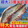 新鲜青岛大虾鲜活基围虾超大海虾冻虾对虾青虾白虾盐冻虾海鲜水产