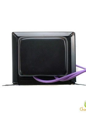 100mA 20H 30H 35H 40H 45H 50H  扼流圈 电感  全屏蔽黑壳 6628