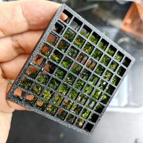 3D打印方格莫斯水草种植床