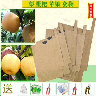 梨子专用套袋苹果桃子枇杷石榴秋月梨黄金梨防水防虫鸟翠冠梨纸袋