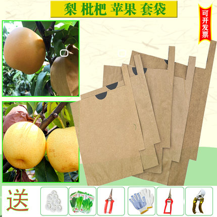 梨子专用套袋苹果桃子枇杷石榴秋月梨黄金梨防水防虫鸟翠冠梨纸袋