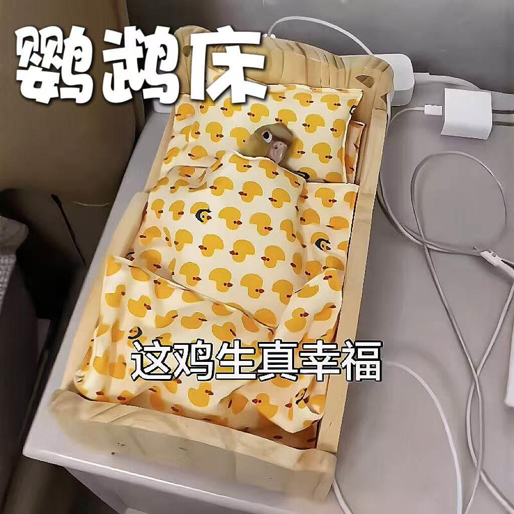 鹦鹉床手养小太阳牡丹金