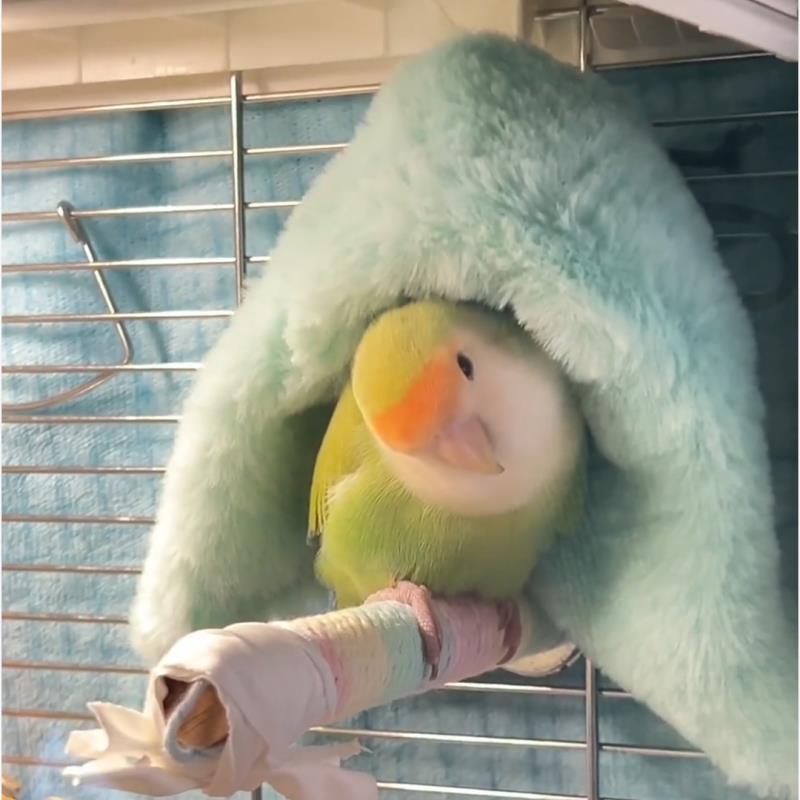 鹦鹉窝保暖挡风过冬毛毯