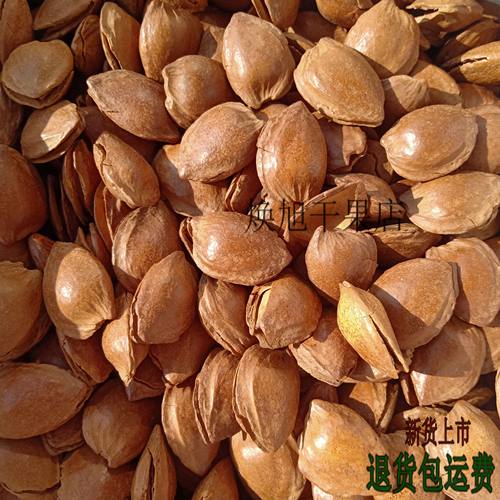 开口杏核椒盐奶香1斤批坚果新货小银杏核手剥小杏仁杏核零食包邮