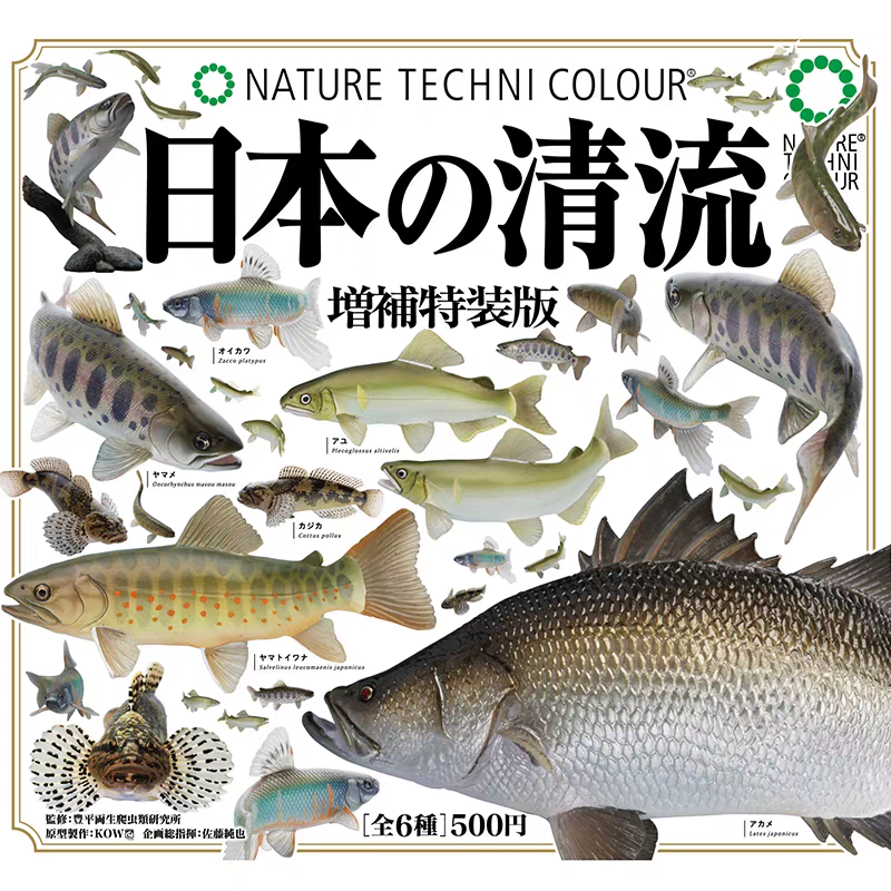 日本正版IKIMON 清流鱼特装版扭蛋立体潮玩模型摆件杜父鱼类香鱼