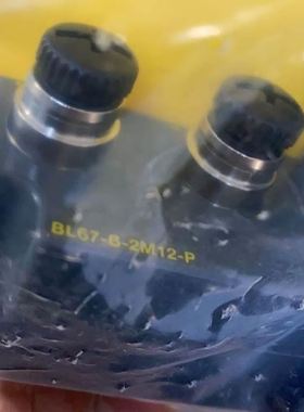 BL67-B-2M12-P TURCK图尔克plc 底座
