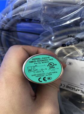 【致富机电】P+F倍加福 ENA58IL-S10CA5-1213B17-A磁式旋转编码器