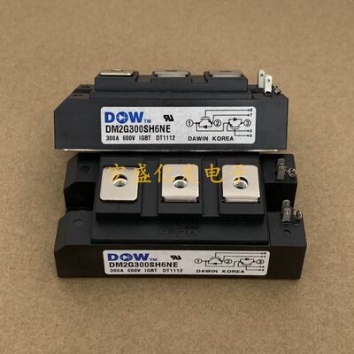 DM2G100SH6A DM2G300SH6N DM2G300SH6NE DM2G200SH6N原装新旧