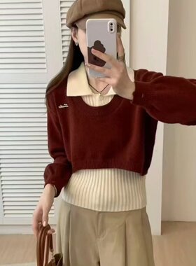 2024秋季新款韩版设计感短款毛衣罩衫外搭翻领挂脖针织背心套装