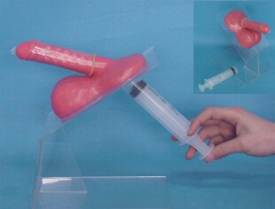 男性生殖器功能展示模型套用法演示导尿计生用品医用教学用具