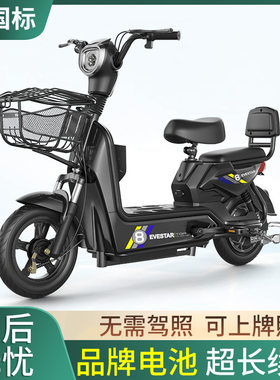 新款雅笛爱马同款48V电动车新国标成人两轮电瓶车小型电瓶车