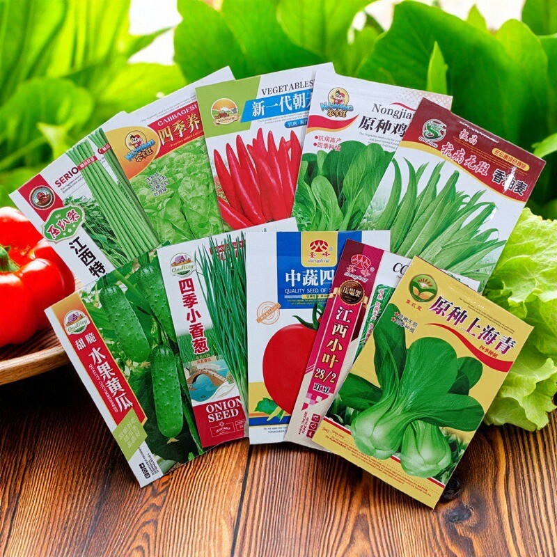 蔬菜种子香菜番茄辣椒菠菜黄瓜青菜籽生菜萝卜白菜四季播种孑大全